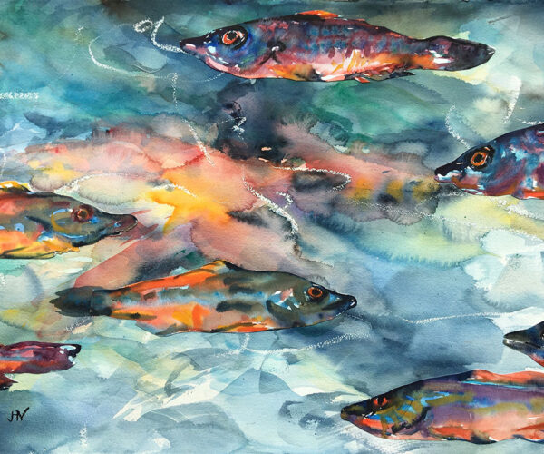 Cornish Fish, watercolour, lively