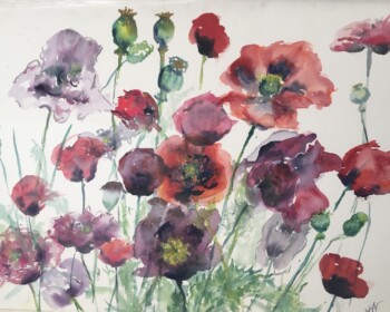 Opium poppies, watercolour, summer sunshine