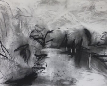 Charcoal, River Wye, Peaceful